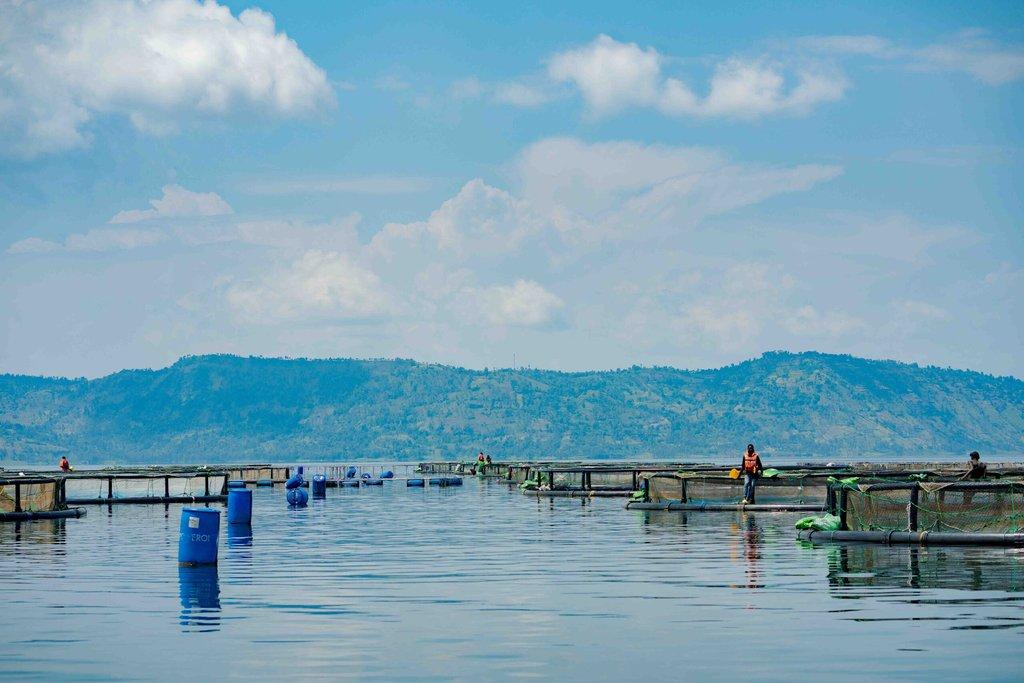 Production Farm Image 5