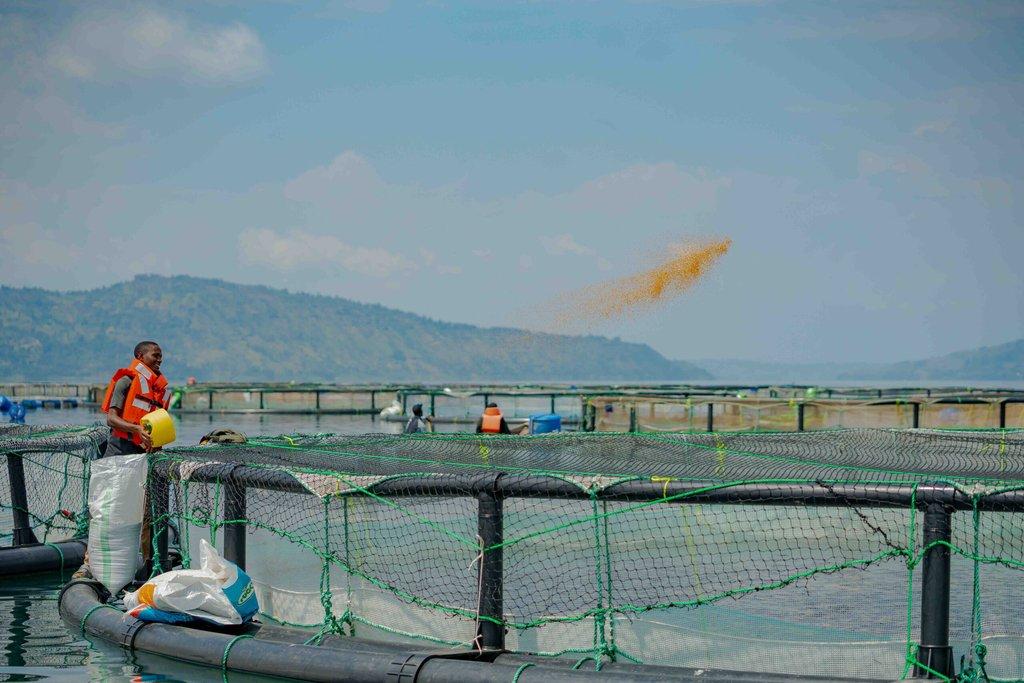 Production Farm Image 2